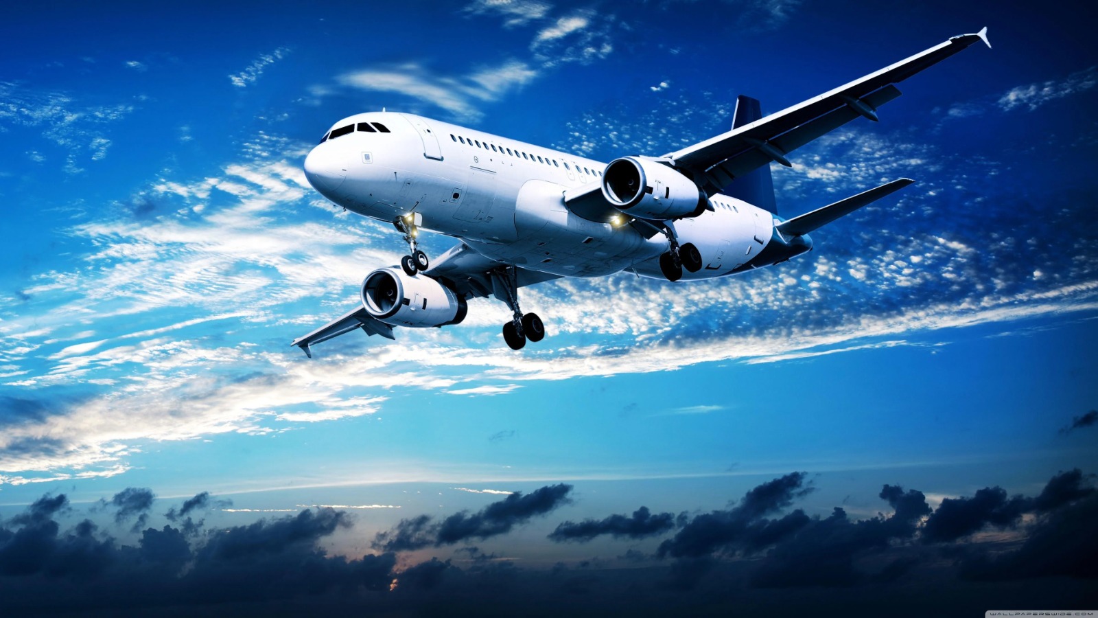 Aviation logistics manager at work